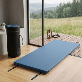 Indoor Outdoor Sleeping Mat with High Density Foam Cushion and Carrying Bag for Camping, Picnic, Traveling, Hiking, Home, Etc (Main Material: Foam, Main Color: Blue)